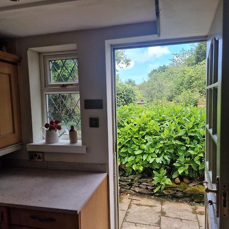 Glyn Isa Country House B&B And Self Catering Apartments Conwy Exterior foto