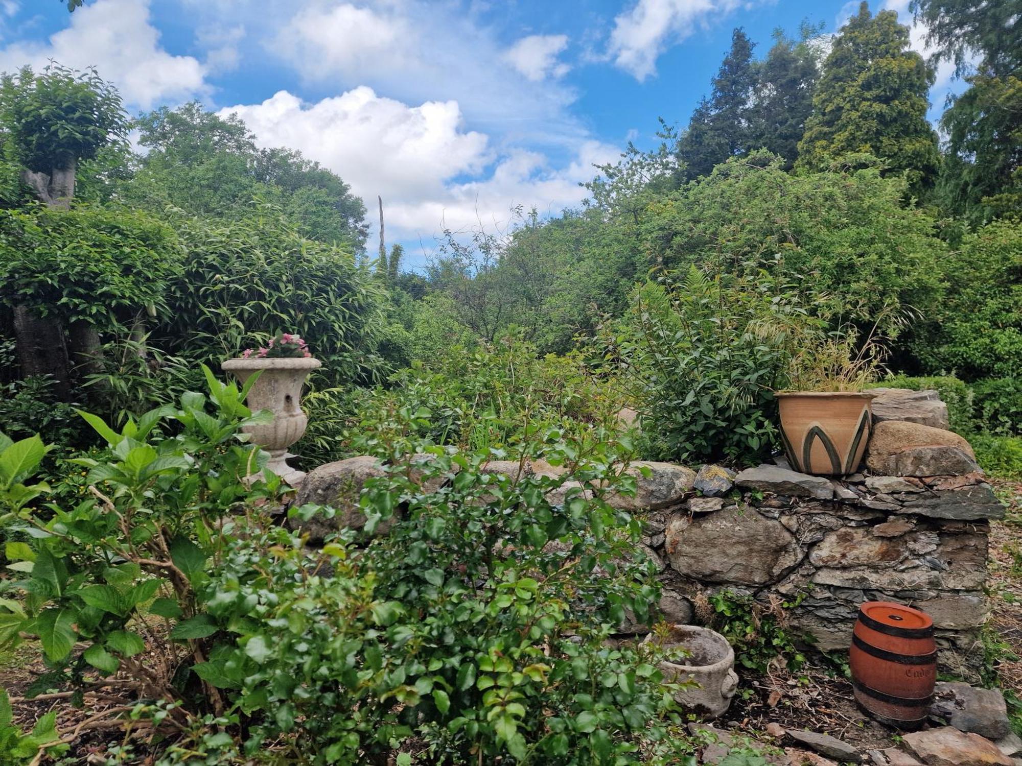 Glyn Isa Country House B&B And Self Catering Apartments Conwy Exterior foto